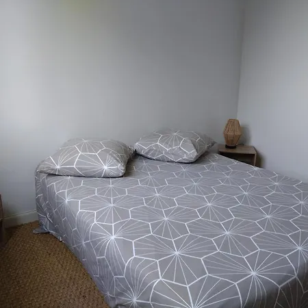 Superbe De فيلة لا سين سور مير