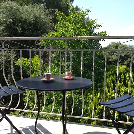 Superbe De فيلة لا سين سور مير